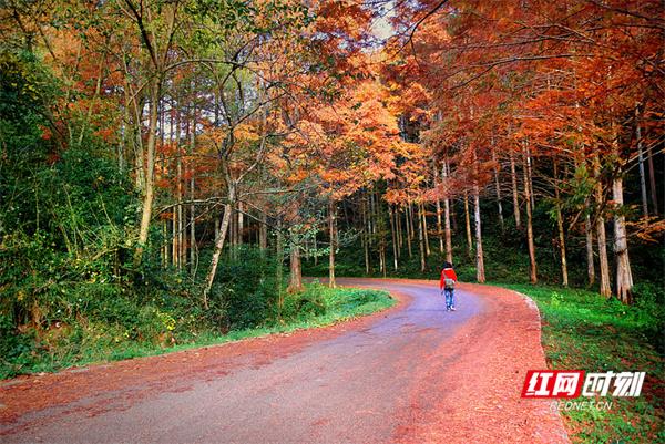 靖州，藏在山水间的“精神原乡”