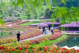 南宁，5天，57.82亿元！图片