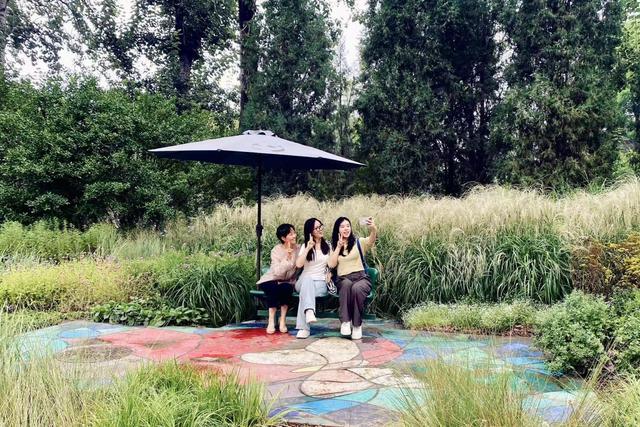 秋季赏花潮来临，北京市属公园发布40余处小而美赏秋花境