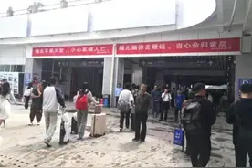 被骗至缅北，女子张某遍体鳞伤图片