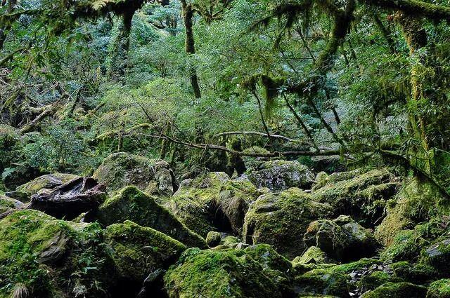 他初中毕业后终身不婚，荒野舍命工作20年，被一群博士封神