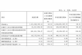 大有能源：第三季度净亏损2161万元图片