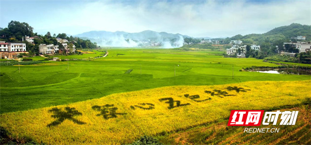 “路筑振兴梦”线上主题展示｜沿溪口路漫游双峰 解锁红色人文与山水生态双体验