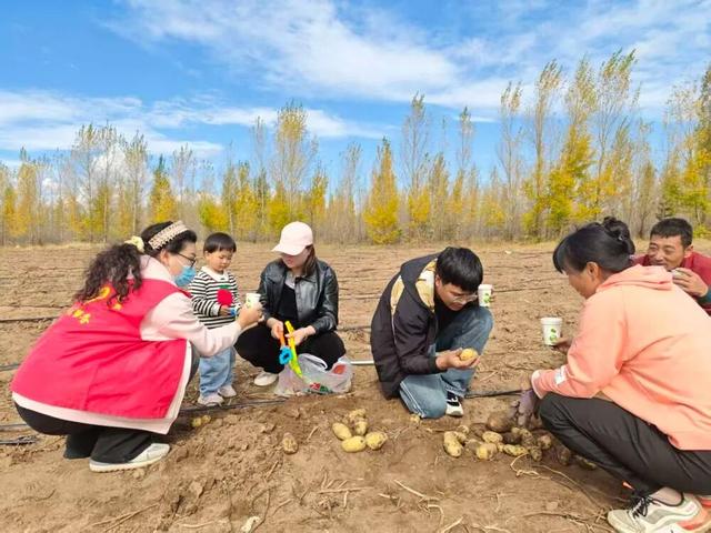 挖土豆挖得不亦乐乎，“下地干活式旅游”火了？