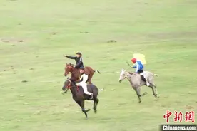 新疆昭苏首届伊犁马超级联赛开赛图片