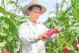 抗旱保秋 河南够拼图片