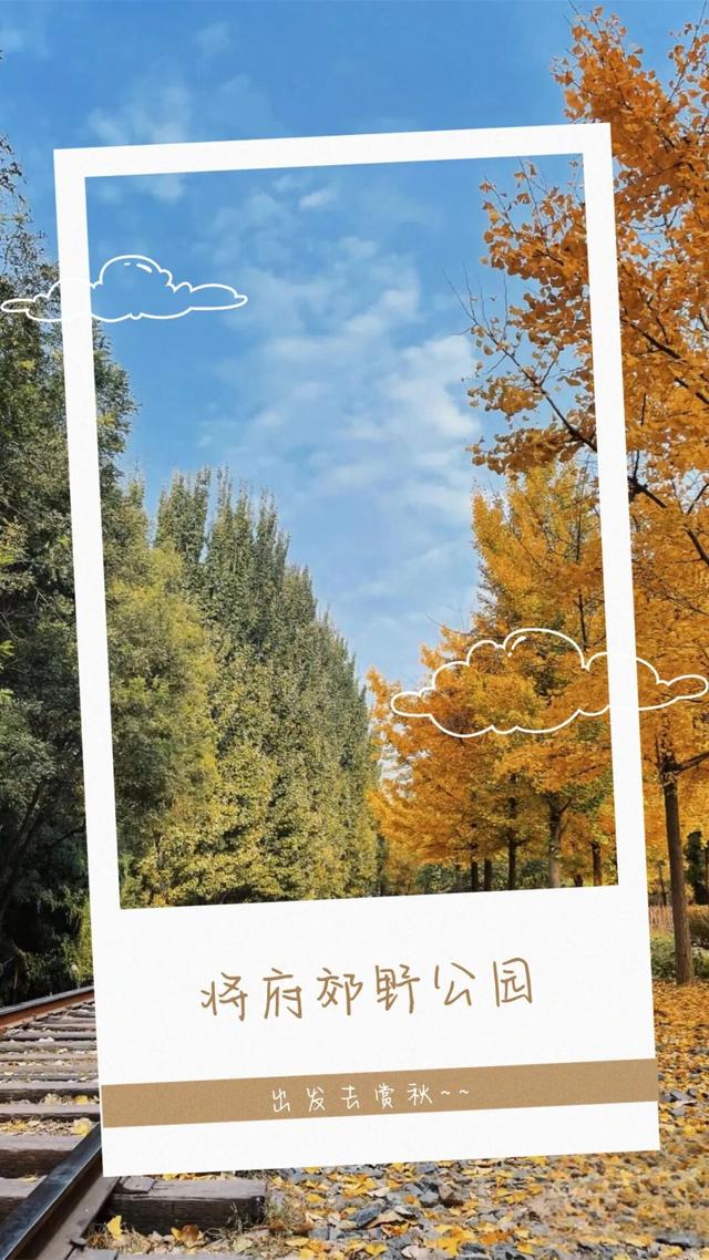 还在凑满减？这里的绝美秋景免费派送中——