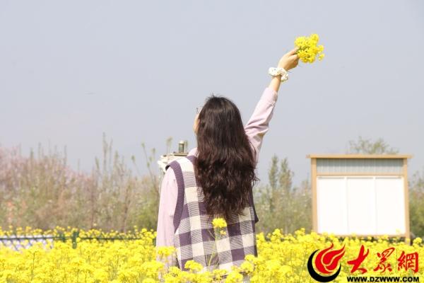 邹平西董百亩油菜花开 春日打卡正当时