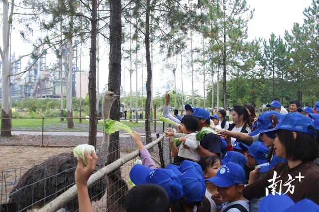 在水泥厂与自然相约！英德这场森林文化周活动让市民“森”临其境