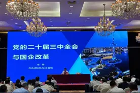 三中全会提出国有资本投资公司改革，以悦达来说明图片