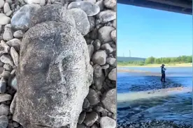 洛阳一钓鱼男子发现的，初步鉴定为唐代佛头视频封面