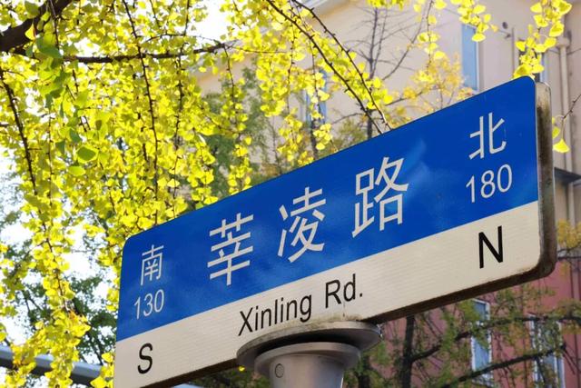 此时，闵行最美的地方就在……