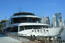 和毛孩子一起夜游黄浦江，黄浦江宠物友好游轮要来了图片