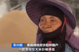 日本主妇在韩国买米，1公斤“仅”15元，还分享“攻略”！全球米价都在跌，日本却涨了又涨，原因在哪里？图片