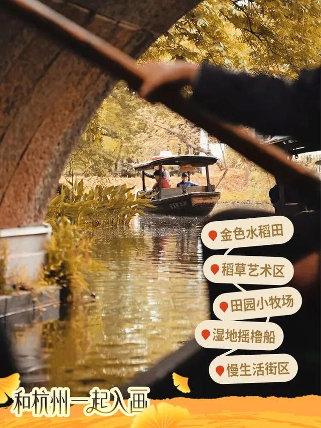 秋冬盛宴来袭，6条宝藏线路玩转杭城！