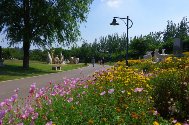 在平阴，有一种幸福是“家在公园里”