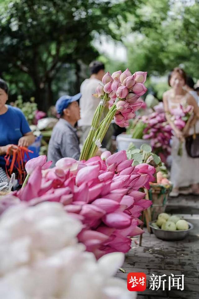 奔赴苏州古城寻找“美”，姑苏喊你“早点来”