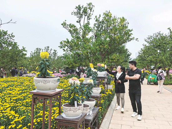 冬日添新色 缤纷遇浪漫