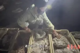 果然视频｜开海后凌晨四点半的批发市场：重启热闹交易声图片
