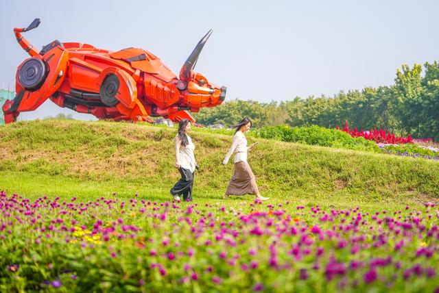 菊香漫京城，共赴金秋之约！北京国际鲜花港整装待客
