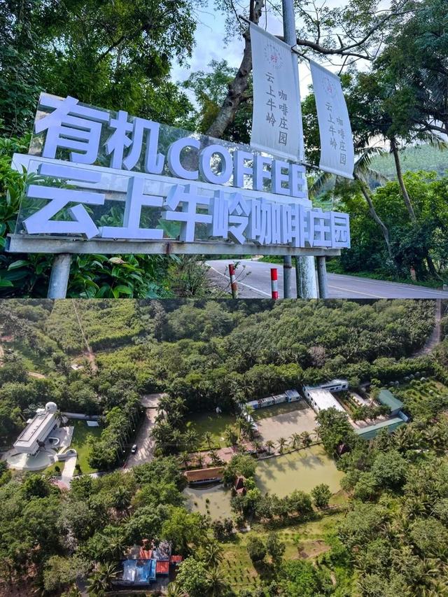 这个秋冬，不妨来陵水邂逅一片蔚蓝