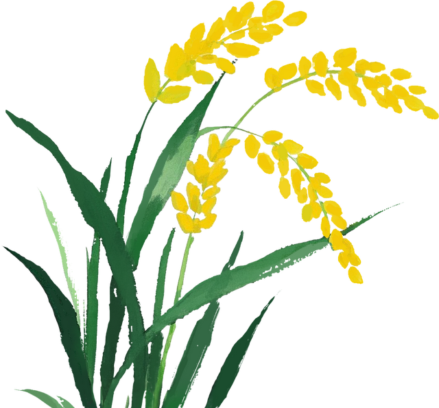 "暑"多优惠 "荆”彩不断