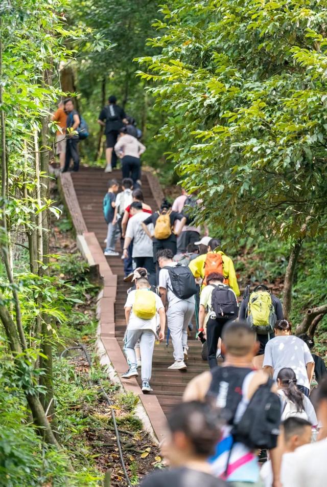 国庆不宅家！瓦屋山热闹非凡开启FUN游模式！
