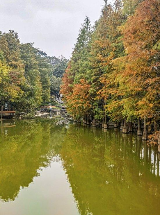 南宁市石门森林公园换上限定 “彩装”