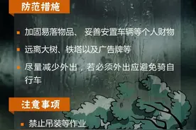 大风蓝色预警！最大风力8级以上，长沙市民注意防范图片