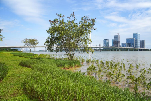 湿地之城！独家揭秘南沙的“湿”和远方