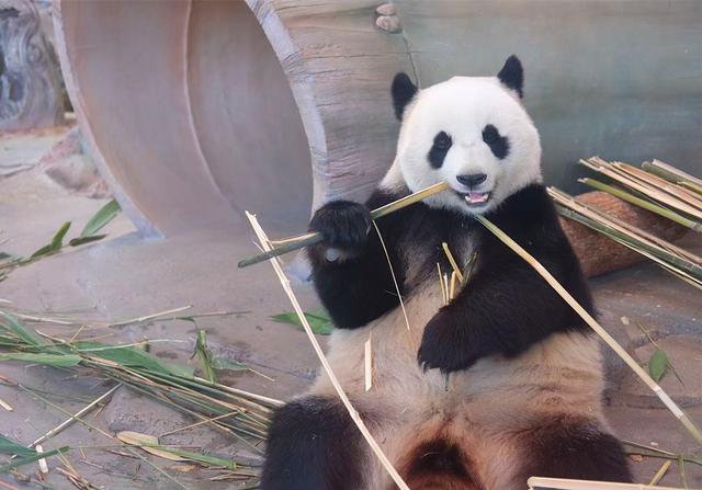 湖南岳阳：山水相依，绘“湘北生态画卷”