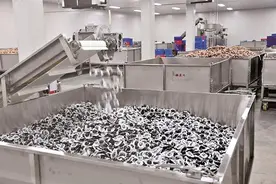 淇县俩老头食品：上线即爆款 登顶畅销榜图片