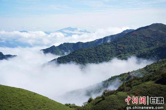 武都千坝草原秋景如画 美不胜收