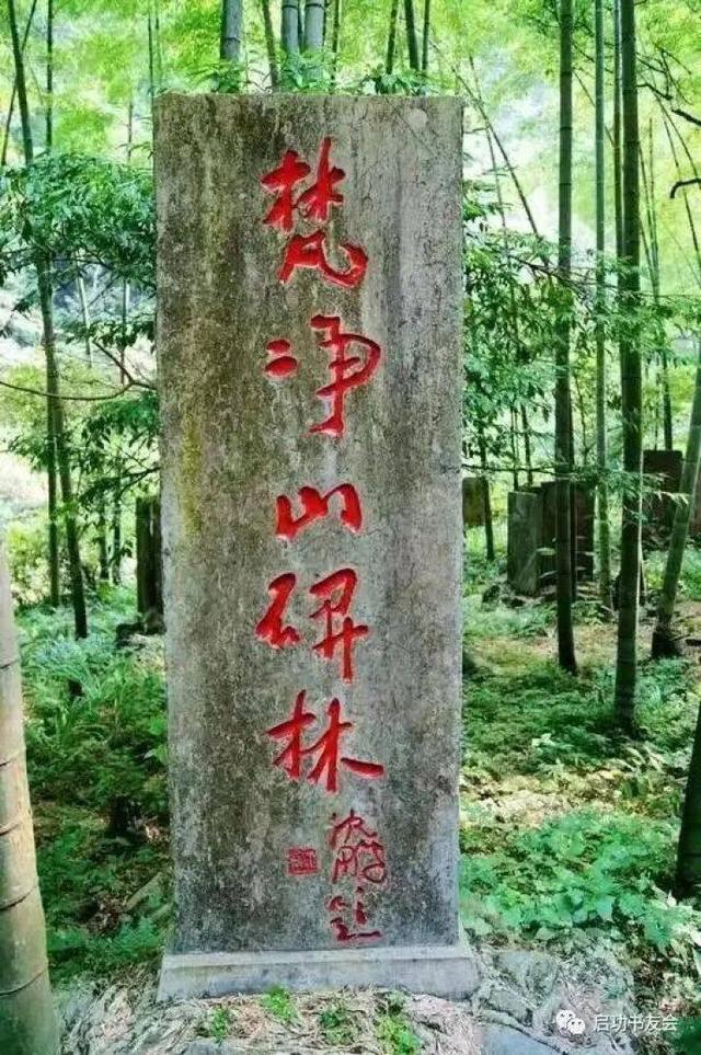 【深度】重组与超越：梵净山茶旅融合的“绿色密码”