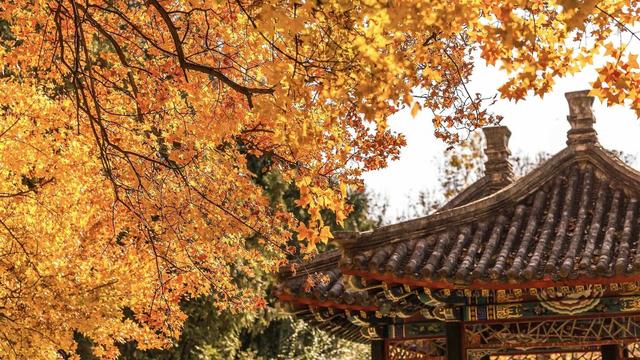 跟着电影去秋游｜这份精选秋日电影旅行地指南，请查收！