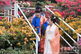 邀您赏花过大年 2024海口琼山三角梅花展开幕图片