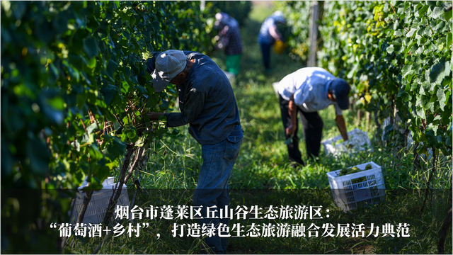 发挥生态优势 促进旅游发展 2024-2025年度山东省生态旅游发展典型案例公布