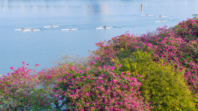 假如秋冬有颜色，肇庆便是一场多彩盛宴～