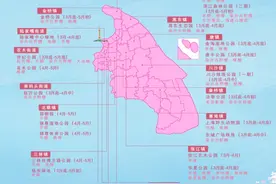 跟着浦东赏樱地图，一起闯入“花花世界”图片