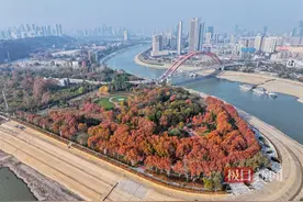 武汉南岸嘴：“城市之心”演绎斑斓诗画图片
