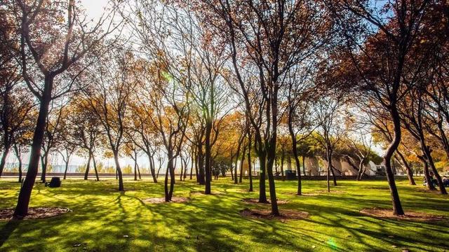 还有谁不知道，逛洛阳真的不用花钱