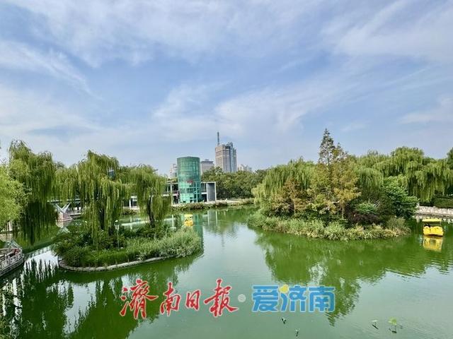 一年四季 泉在济南丨乘船赏景如入画 惬意度秋正当时