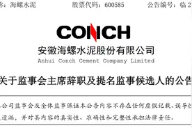 安徽海螺水泥股份有限公司监事会主席吴小明辞职图片