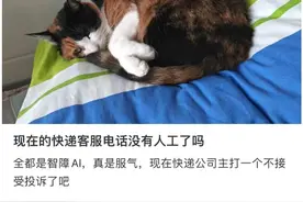 “鸡同鸭讲”“听不懂话”，这届年轻人被AI客服逼疯图片