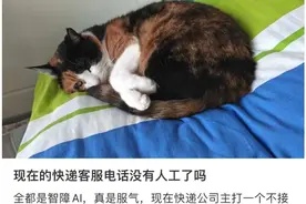 “鸡同鸭讲”“听不懂话”……这届年轻人，被AI客服逼疯图片