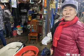 千元一斤的江鳗，钱塘江禁渔前最后一网，引老饕一声叹息图片