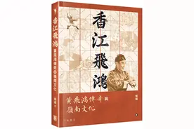 黄峪评《黄飞鸿传奇与岭南文化》｜影艺岭南，中华想象图片