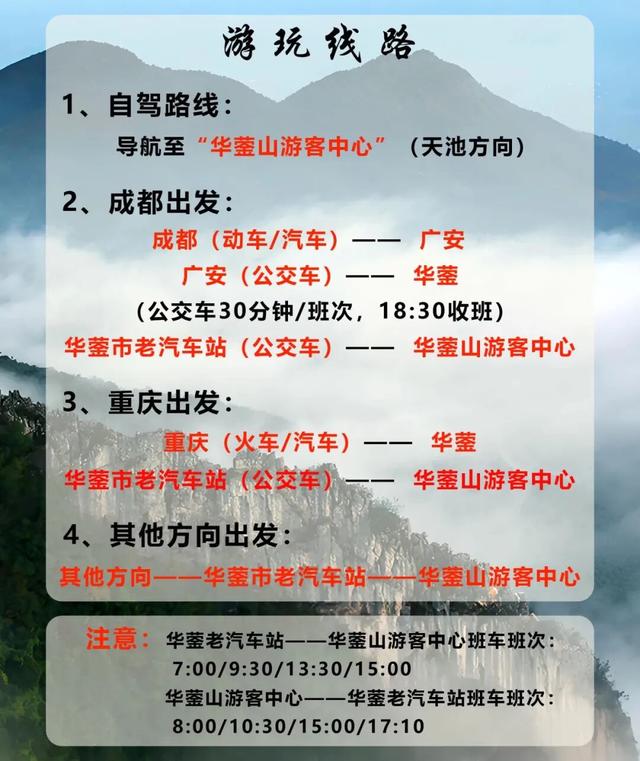 “马”上免票！多景区官宣→