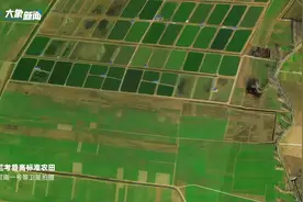 习习春风暖 兰考十年间图片