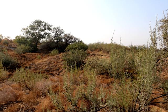 组图丨古浪县八步沙：人与自然的治沙画卷